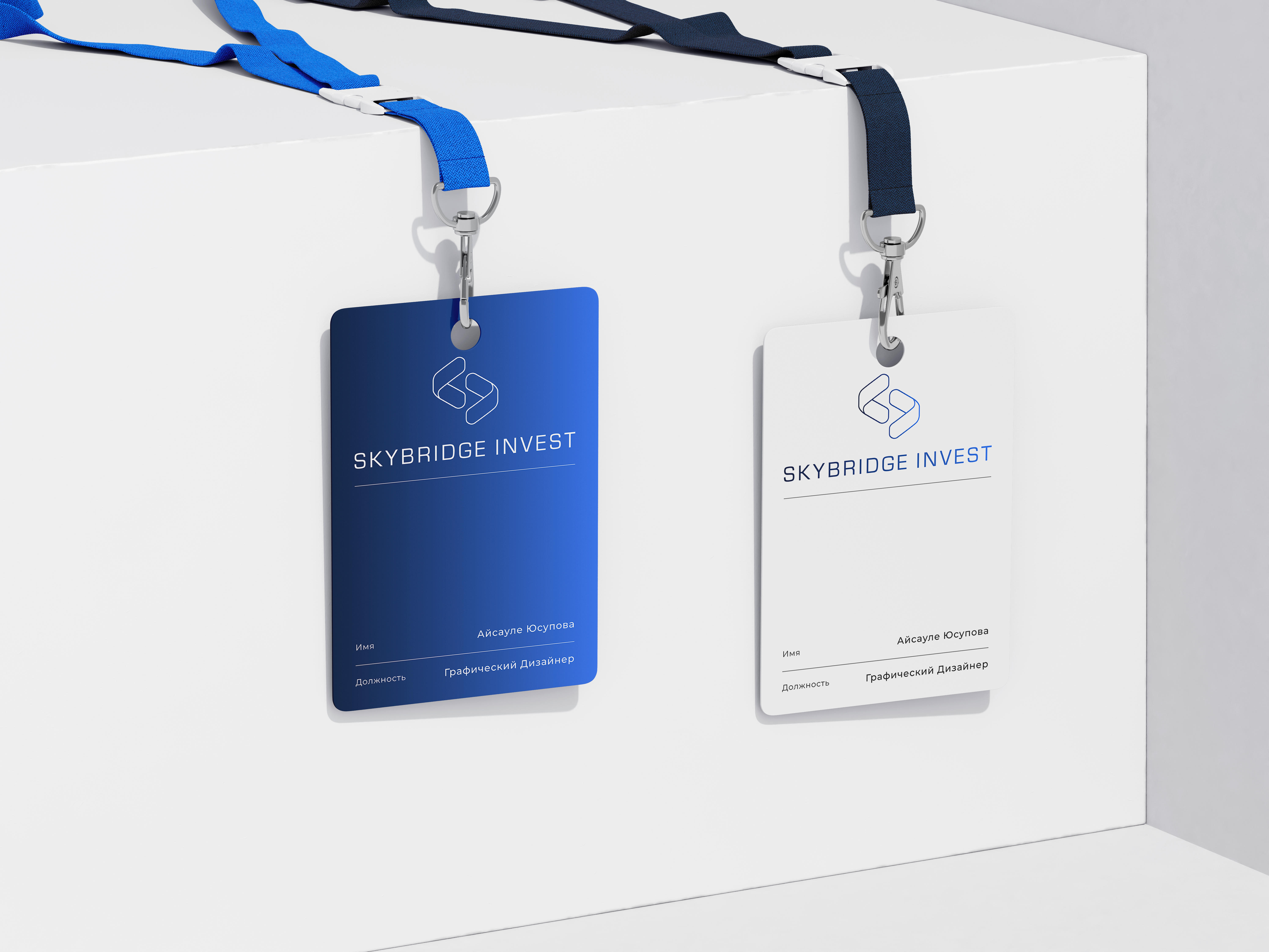Project showcase